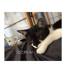 natti（個別スタンプ：4）