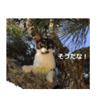 natti（個別スタンプ：7）