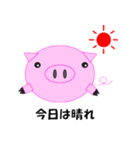 "Boota" of pig.（個別スタンプ：19）