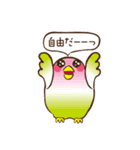 とりかご（個別スタンプ：35）
