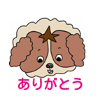 My dog Kotetsu（個別スタンプ：3）