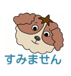 My dog Kotetsu（個別スタンプ：5）