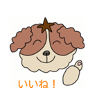 My dog Kotetsu（個別スタンプ：6）
