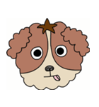 My dog Kotetsu（個別スタンプ：10）