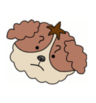 My dog Kotetsu（個別スタンプ：12）