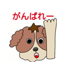 My dog Kotetsu（個別スタンプ：15）