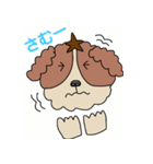 My dog Kotetsu（個別スタンプ：23）