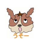 My dog Kotetsu（個別スタンプ：27）