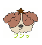 My dog Kotetsu（個別スタンプ：30）