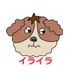 My dog Kotetsu（個別スタンプ：31）