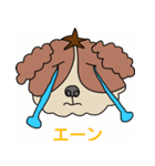 My dog Kotetsu（個別スタンプ：33）