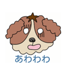 My dog Kotetsu（個別スタンプ：35）