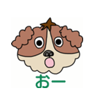 My dog Kotetsu（個別スタンプ：36）