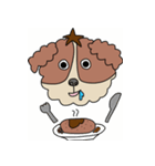 My dog Kotetsu（個別スタンプ：38）