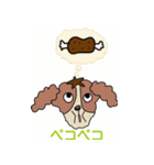 My dog Kotetsu（個別スタンプ：39）