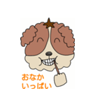 My dog Kotetsu（個別スタンプ：40）