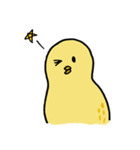 落花生ひよこ（個別スタンプ：1）