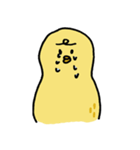 落花生ひよこ（個別スタンプ：3）