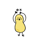 落花生ひよこ（個別スタンプ：12）