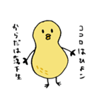 落花生ひよこ（個別スタンプ：23）