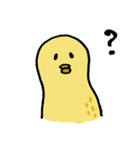 落花生ひよこ（個別スタンプ：31）