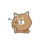 hexagon dog（個別スタンプ：26）