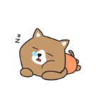 hexagon dog（個別スタンプ：35）