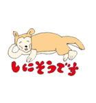 めいけんはりえる（個別スタンプ：20）