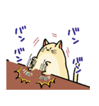 チャックつきねこさんスタンプ（個別スタンプ：4）