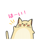 チャックつきねこさんスタンプ（個別スタンプ：9）