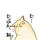チャックつきねこさんスタンプ（個別スタンプ：16）