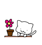 white dai dai（個別スタンプ：2）