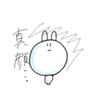 目が点。うさぎ（個別スタンプ：24）