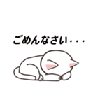 ねこのまったり生活（個別スタンプ：12）
