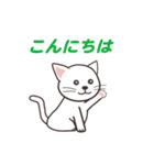ねこのまったり生活（個別スタンプ：13）