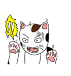 みけ男くんの日常（個別スタンプ：13）