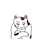 みけ男くんの日常（個別スタンプ：27）