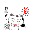 みけ男くんの日常（個別スタンプ：30）