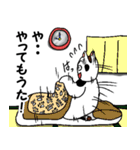 みけ男くんの日常（個別スタンプ：31）