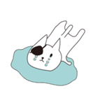 ねこぱっち1（個別スタンプ：13）