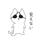 ねこぱっち1（個別スタンプ：35）