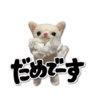 羊毛フェルトのねこ（個別スタンプ：10）