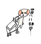 あにまるっ子スタンプ（個別スタンプ：20）
