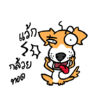 beware of mad dog（個別スタンプ：18）