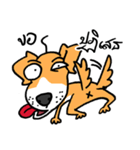 beware of mad dog（個別スタンプ：25）