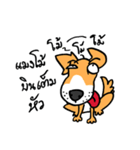 beware of mad dog（個別スタンプ：28）