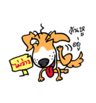 beware of mad dog（個別スタンプ：31）