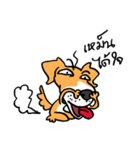 beware of mad dog（個別スタンプ：32）