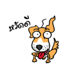 beware of mad dog（個別スタンプ：37）