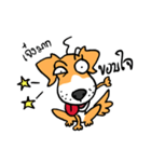 beware of mad dog（個別スタンプ：39）